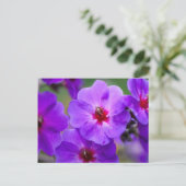 Paarse bloem briefkaart (Staand voorkant)