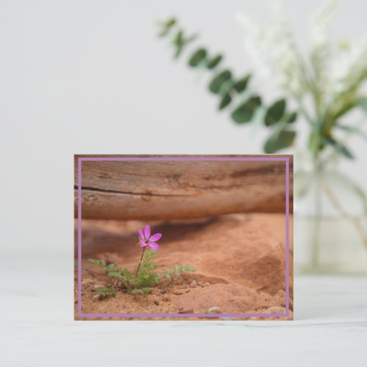 paarse bloem briefkaart (Staand voorkant)