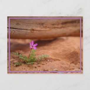 paarse bloem briefkaart