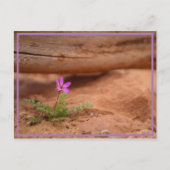 paarse bloem briefkaart (Voorkant)
