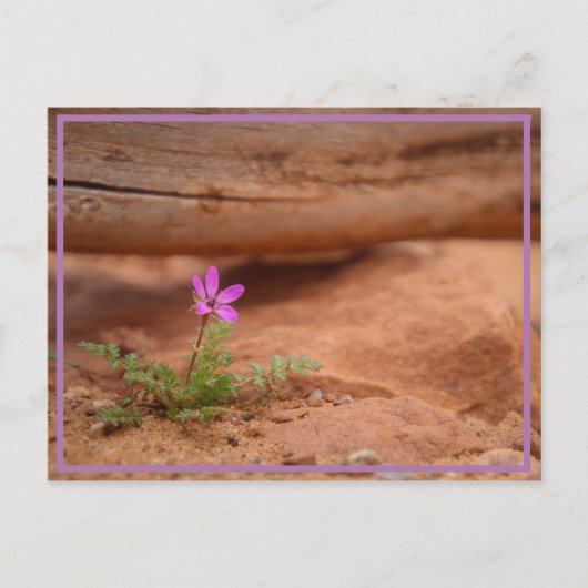 paarse bloem briefkaart (Voorkant)