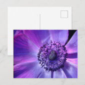 Paarse bloem briefkaart (Voorkant / Achterkant)
