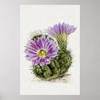 Paarse Bloem Cactus Sketch Art Poster