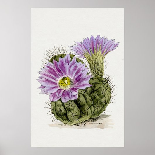 Paarse Bloem Cactus Sketch Art Poster (Voorkant)