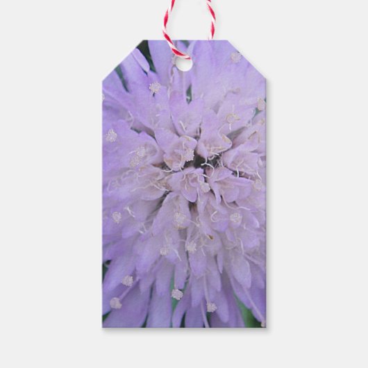 Paarse bloem cadeaulabel (Voorkant)