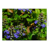 Paarse Bloem en Bumble Bee (Voorkant Horizontaal)