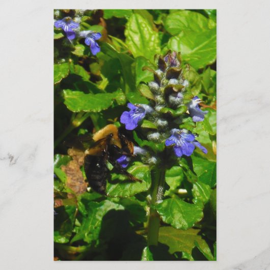 Paarse Bloem en Bumble Bee Briefpapier (Voorkant)