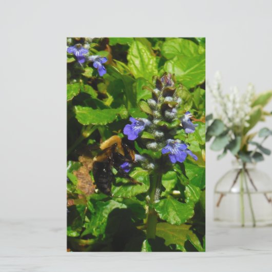 Paarse Bloem en Bumble Bee Briefpapier (Staand voorkant)