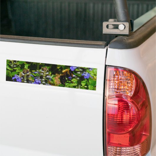 Paarse Bloem en Bumble Bee Bumpersticker (Op Truck)