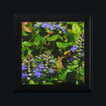 Paarse Bloem en Bumble Bee Cadeaudoosje<br><div class="desc">Paarse bijenbalmploesbloem en gele en zwarte borstelbijen Foto van Sandy Closs,  genomen op het paars van het Arrowidemeer,  "bijenbalm",  bloem,  bloemen,  bloem,  veer,  kersen,  kersen,  tuin,  bruiloft,  bruiloften;</div>