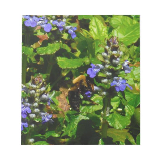 Paarse Bloem en Bumble Bee Notitieblok (Voorkant)
