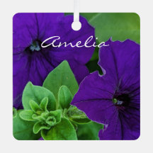 Paarse Bloem Foto Bijbel Verse Positief Denken