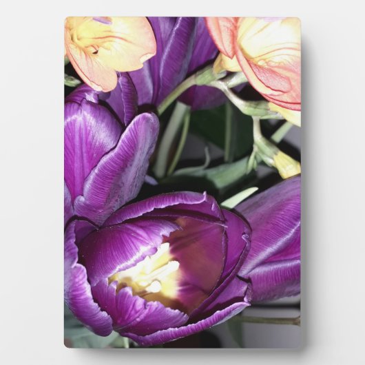 Paarse bloem fotoplaat (voorkant)