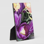 Paarse bloem fotoplaat (Zijkant)