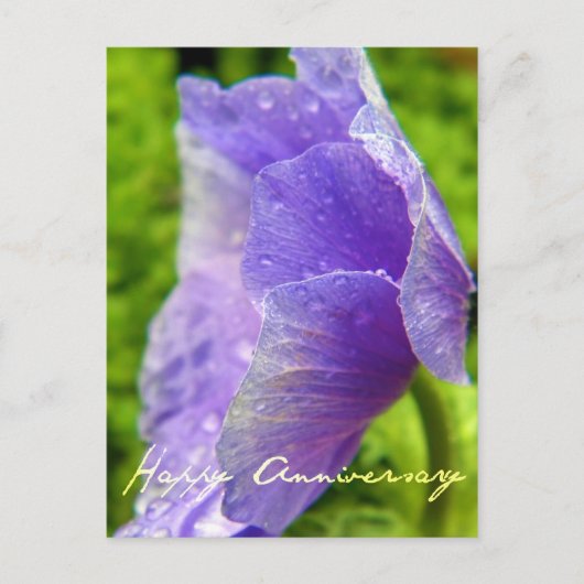 Paarse Bloem Jubileum Briefkaart (Voorkant)