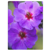 Paarse bloem klembord (Achterkant)