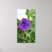 Paarse bloem lente flora collectie canvas afdruk (Voorkant)