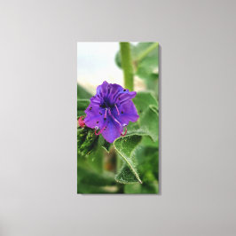 Paarse bloem lente flora collectie canvas afdruk