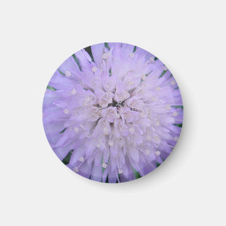 Paarse bloem magneet