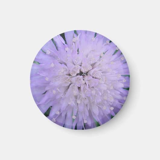 Paarse bloem magneet (Voorkant)