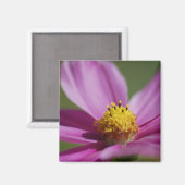 Paarse bloem magneet (Voorkant / Achterkant)