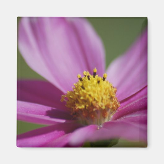 Paarse bloem magneet (Voorkant)