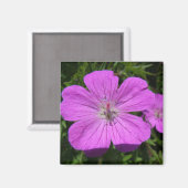 paarse bloem magneet (Voorkant / Achterkant)