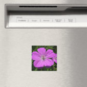 paarse bloem magneet (Insitu (Vaatwasser))