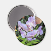 paarse bloem magneet (Voorkant / Achterkant)