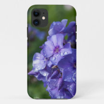 paarse bloem met de ochtenddauw