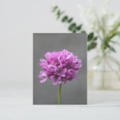 paarse bloem met mier briefkaart (Staand voorkant)