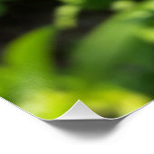 paarse bloem perfect poster (Hoek)