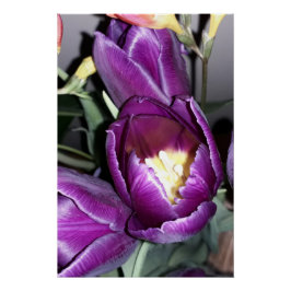 Paarse bloem perfect poster