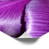 Paarse bloem perfect poster (Hoek)