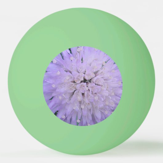 Paarse bloem pingpongbal (Voorkant)