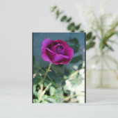 Paarse Bloem Roos Briefkaart (Staand voorkant)