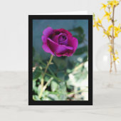 Paarse Bloem Roos Kaart (Gele Bloem)