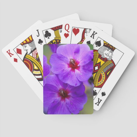 Paarse bloem speelkaarten (Achterkant)