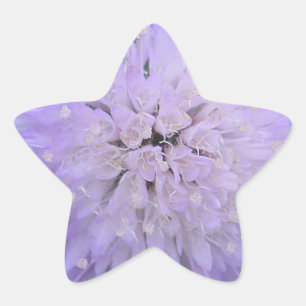 Paarse bloem ster sticker