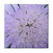 Paarse bloem tegeltje (Voorkant)
