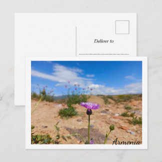 Paarse bloem van Armenië Briefkaart