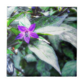 Paarse bloem voor sierdoeleinden tegeltje (Voorkant)