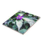 Paarse bloem voor sierdoeleinden tegeltje (Zijkant)