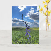 paarse bloem wenskaart (blanco binnenkant) kaart (Gele Bloem)