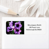 PAARSE BLOEMADRESLABELS ETIKET (Insitu)