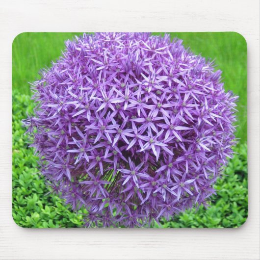 Paarse bloembal muismat (Voorkant)