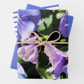 Paarse bloembollen en vaste schijven inpakpapier vel (In situ)