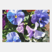 Paarse bloembollen en vaste schijven inpakpapier vel (Voorkant)