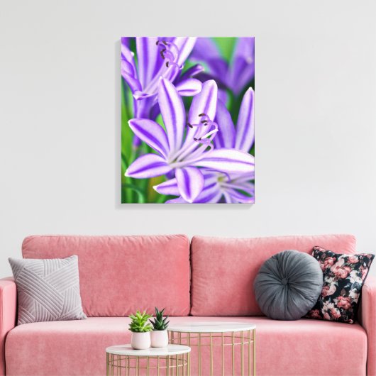 Paarse Bloemen African Daisy Flower Natuur Canvas Afdruk (Insitu (Woonkamer))