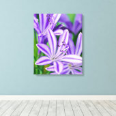 Paarse Bloemen African Daisy Flower  Natuur Canvas Afdruk (Insitu (Houten vloer))